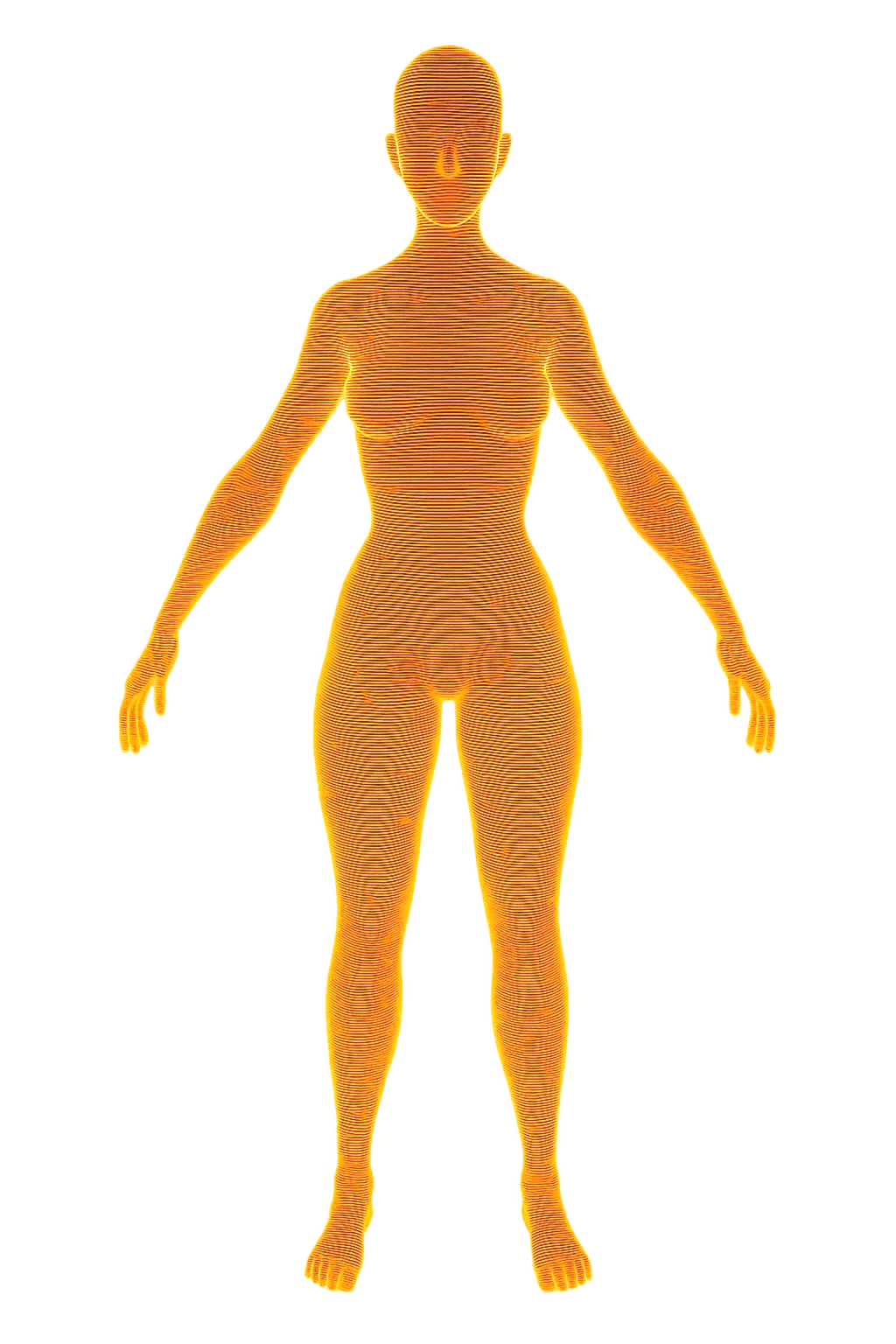 LAMS Area Illustration